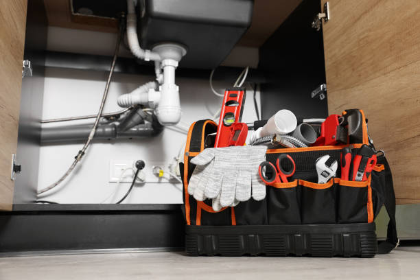 Best Commercial Plumbing Services  in Scott Af, IL